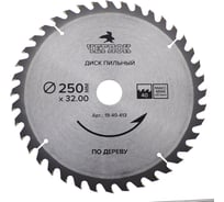 Диск пильный по дереву (250x32/30 мм; 40T) ЧЕГЛОК 19-40-413