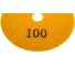 АГШК №11, для сухой шлифовки, #100, 100мм, DLT 0933 4