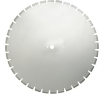 Диск алмазный BS-WB 700x60/40 мм Dr.Schulze TS14001806