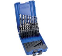 Набор сверл по металлу (19 шт; 1-10 мм; HSS-G; DIN338) IZAR 18808