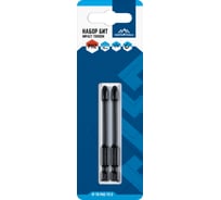 Набор бит IMPACT TORSION PH2, 70 мм, 2 шт vertextools IP-TR-PH2-70-2