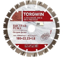 Диск алмазный TORGWIN отрезной сегмент по железобетону 180х22.2/13х1.8мм Best for reinforced concrete Industrial T1976003