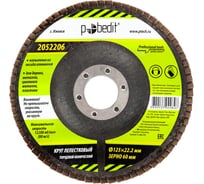 Круг лепестковый торцевой конический 125x22.2 мм, Р60 Pobedit 2052206