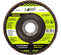 Круг лепестковый торцевой конический 125x22.2 мм, Р40 Pobedit 2052204