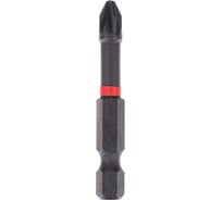 Биты ударные PZ2, 50 мм, 2 шт ELITECH 1820.15190 204278