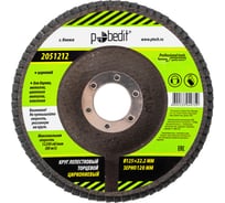 КЛТ циркониевый d 125x22.2 мм, зерно Р120 Pobedit 2051212