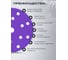 Диск абразивный керамика AMETHYST 150 мм, 15 отверстий, P 100, 50 шт VOLCA 74150150100 2