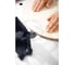 Плита для крепления фрезера CMS-OF FESTOOL 570251 4