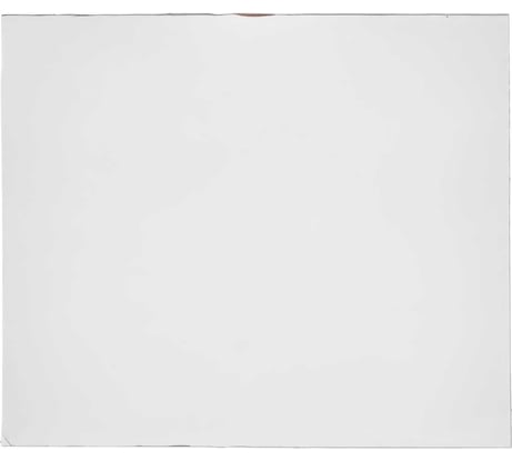 Пластина защитная поликарбонатная (50 шт; 133х114 мм) для маски VICTOR ПТК 00000019127