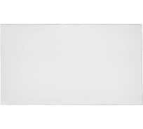 Пластина защитная поликарбонатная (50 шт; 121х69 мм) ПТК 00000021056