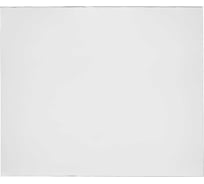 Пластина защитная поликарбонатная (50 шт; 120х100 мм) ПТК 00000032543