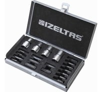 Набор магнитных бит HEX и TORX 1/2"DR 20 предметов 13000000806 IZELTAS 1113003020