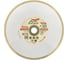 Круг алмазный 1A1R ULTRA CERAMICS 300x2.0x10x25.4 мм SKYWER SK-UC30025 1