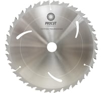 Пильный диск продольный рез по дереву, фанере 300x30x3.2/2.2 мм, Z=32, TCG PROCUT 703.3003032G.ECO