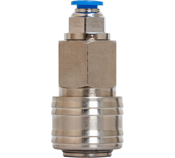 Розетка SFPC06-P-E NBPT 82781