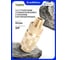 Быстросъёмное соединение пневматическое Partner с клапаном 3/8" PA-BSE1-3SM(7456) 2