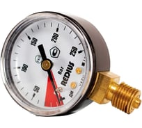 Манометр 250 Bar Redius 102114