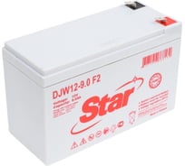 Аккумулятор для ИБП DJW12-9.0 F2 12 В, 9 А*ч Star УТ-00002533