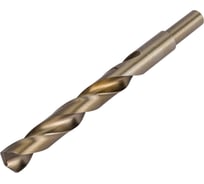 Сверло по металлу HSSE-Co5 (16.5x184х125 мм; хвостовик 13 мм) Ruko 2005165