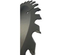 Пильный диск Профессионал 165х30 мм, 36Т, дерево MD-STARS PPD1653630