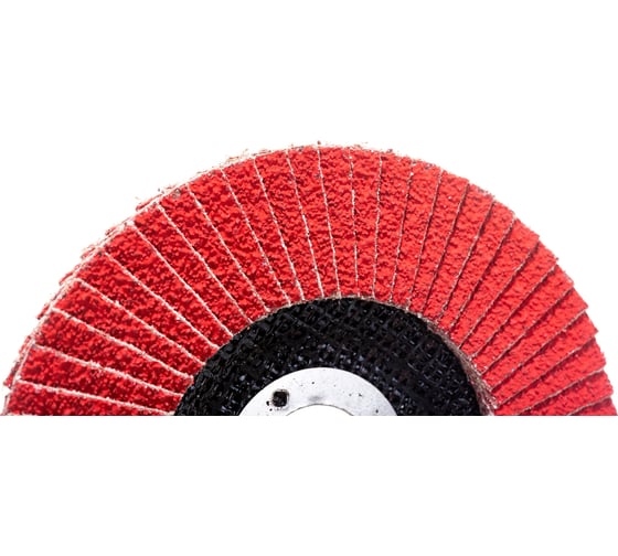 Круг лепестковый торцевой SD20XW TopCool (125х22 мм; P36) БАЗ 7311125136