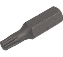 Бита (2 шт; 25 мм; ТХ20; 1/4) GRAFF 332025