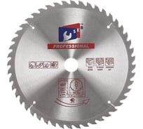 Диск пильный по дереву Professional 300х32 мм, 48 зубьев TORGWIN S25559