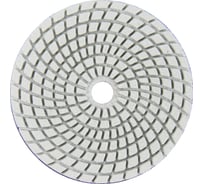 Алмазный круг 100 мм, P800, мокрое шлифование 1820.158300 Elitech 204924