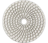 Алмазный круг 100 мм, P10000, мокрое шлифование 1820.158700 Elitech 204928