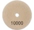 Алмазный круг 100 мм, P10000, мокрое шлифование 1820.158700 Elitech 204928 2
