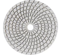 Алмазный круг 100 мм, P30, мокрое шлифование 1820.157600 Elitech 204917