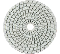 Алмазный круг 100 мм, P300, мокрое шлифование 1820.158000 Elitech 204921