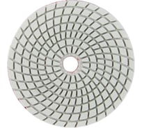 Алмазный круг 100 мм, P400, мокрое шлифование 1820.158100 Elitech 204922