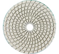 Алмазный круг 100 мм, P1000, мокрое шлифование 1820.158400 Elitech 204925