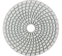 Алмазный круг 125 мм, P300, мокрое шлифование 1820.159200 Elitech 204933
