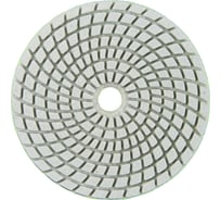 Алмазный круг 100 мм, P600, мокрое шлифование 1820.158200 Elitech 204923