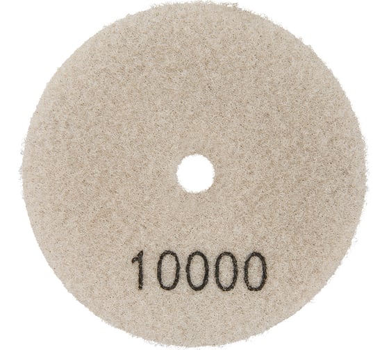 Алмазный круг 100 мм, P10000, сухое шлифование 1820.161100 Elitech 204952