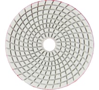 Алмазный круг 125 мм, P400, мокрое шлифование 1820.159300 Elitech 204934