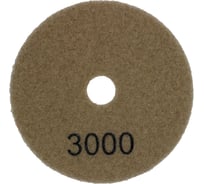 Алмазный гибкий шлифовальный круг Orientcraft АГШК 100 мм, P3000, Черепашка 1003000