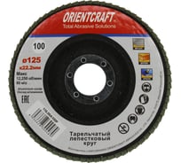 Круг лепестковый торцевой Orientcraft КЛТ-1 125x22 мм, P100, для металла, древесины 116.00A100F