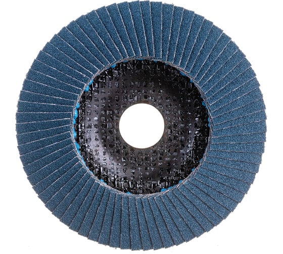 Диск лепестковый AF-D SP (125х22 мм; P80) Hilti 2243337