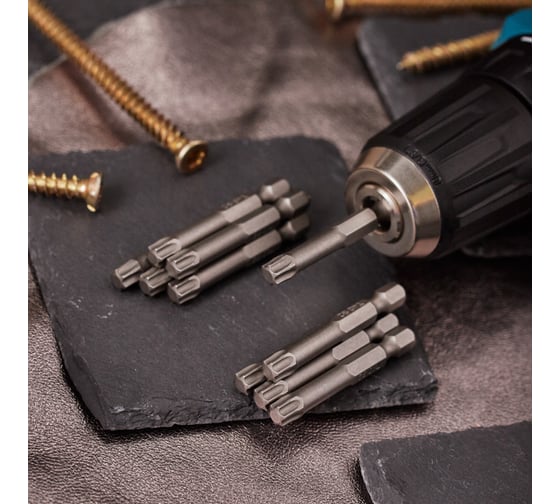 Бита REXANT Torx T-40, 50 мм для шуруповерта сталь S2 уп 10 шт 92-0431