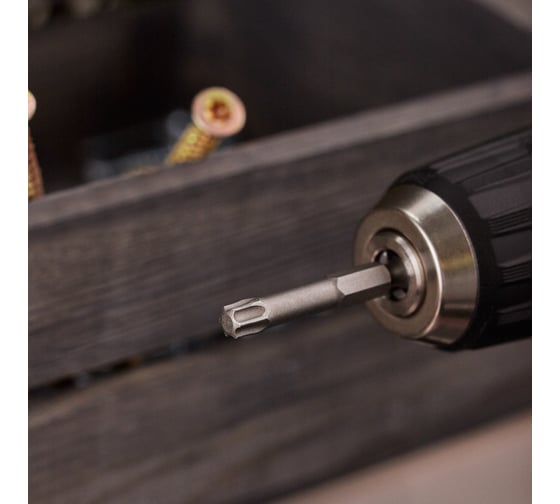 Бита REXANT Torx T-40, 50 мм для шуруповерта сталь S2 уп 10 шт 92-0431