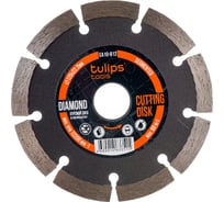 Диск алмазный сегментный 125х1.8х22.2 мм Tulips tools EA10-812