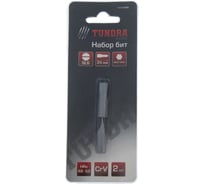 Биты намагниченные (2 шт; сталь CrV; SL6х25 мм) TUNDRA 1414796