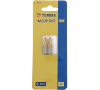 Биты намагниченные (2 шт; сталь S2; 58-60 HRC; TiN; PH2х25 мм) TUNDRA 1414801