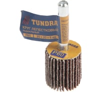 Круг лепестковый радиальный (20х20х6 мм; Р60) ТУНДРА 5162346