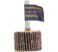 Круг лепестковый радиальный (30х20х6 мм; Р40) ТУНДРА 5162348