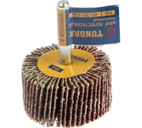 Круг лепестковый радиальный (40х20х6 мм; Р40) ТУНДРА 5162351