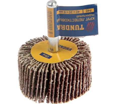 Круг лепестковый радиальный (40х20х6 мм; Р40) ТУНДРА 5162351